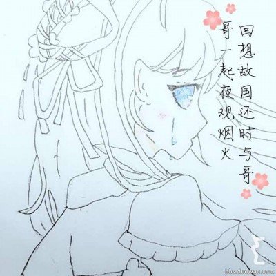 象群现身云南 村民：没觅食匆匆走了